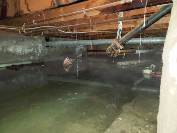 Best Ceiling water damage repair  in Clover, SC
