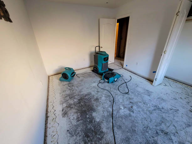 Best Water damage restoration near me  in Clover, SC