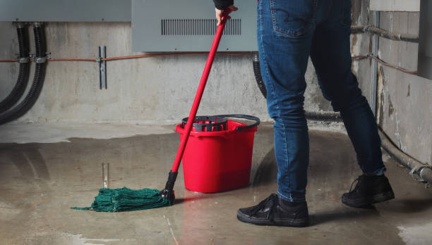 Best Flood damage cleanup  in Clover, SC