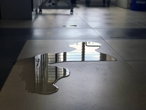 Best Commercial water damage restoration  in Clover, SC