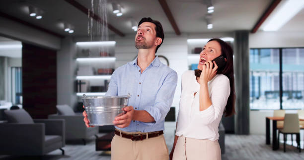 Best Water damage cleanup near me  in Clover, SC
